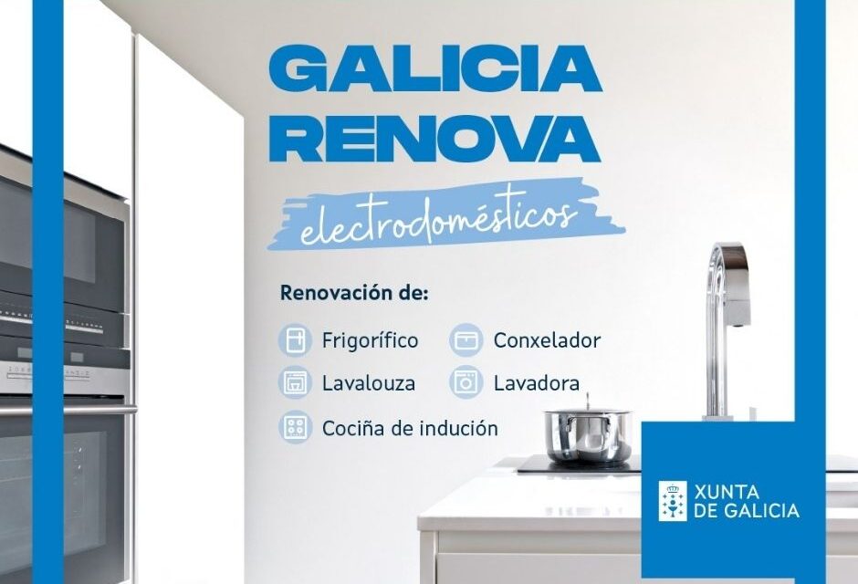 Perpetuo Suministro Contemporáneo Plan renove de electrodomésticos año 2023 - IN414C - ..:: DILU CONSULTORES  ::.. Asesoria de Empresas y LOPD en Vigo